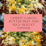 Rice Skillet with Cheddar Parmesan Sauce Recipe