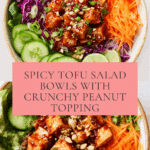 Spicy Tofu Salad Bowls Recipe