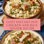 Instant Pot Chicken Rice Recipe