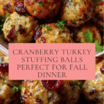 Cranberry Turkey Stuffing Balls Recipe