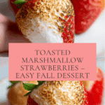 Toasted Marshmallow Strawberries Recipe