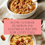 Slow Cooker Pumpkin Pie Oatmeal Recipe