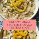 Savory Orzo Stuffed Banana Peppers Soup Recipe