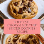 Fall Chocolate Chip Spiced Cookie Recipe