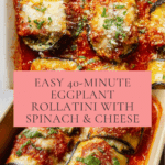 40 Minute Eggplant Rollatini Healthy Meal Will Blow Your Mind