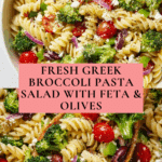 Greek Broccoli Pasta Salad Recipe