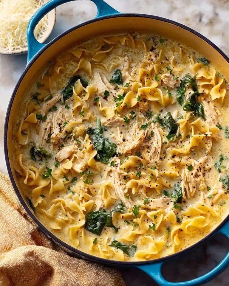 Best Chicken Lasagna Soup Recipe